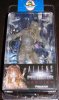 Alien Vs Predator Requiem Predator Clear Neca Svpr Moc